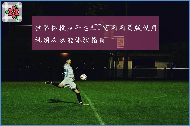 世界杯投注平台APP官网网页版使用说明及功能体验指南