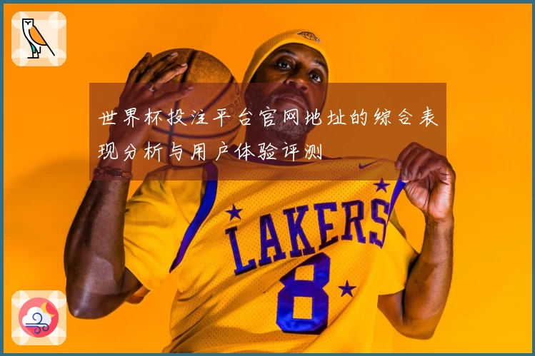 世界杯投注平台官网地址的综合表现分析与用户体验评测