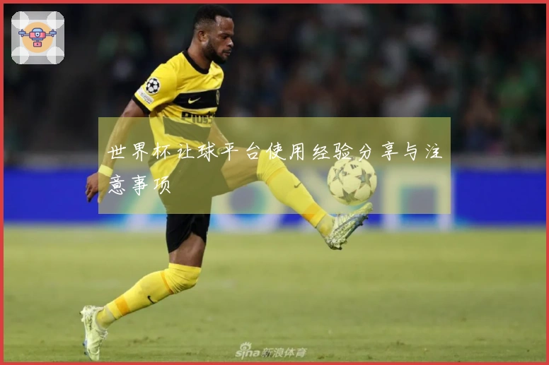 世界杯让球平台使用经验分享与注意事项
