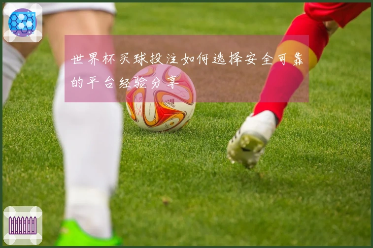 世界杯买球投注如何选择安全可靠的平台经验分享