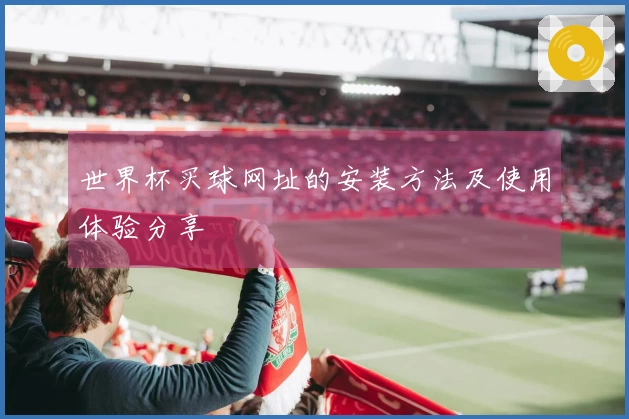 世界杯买球网址的安装方法及使用体验分享