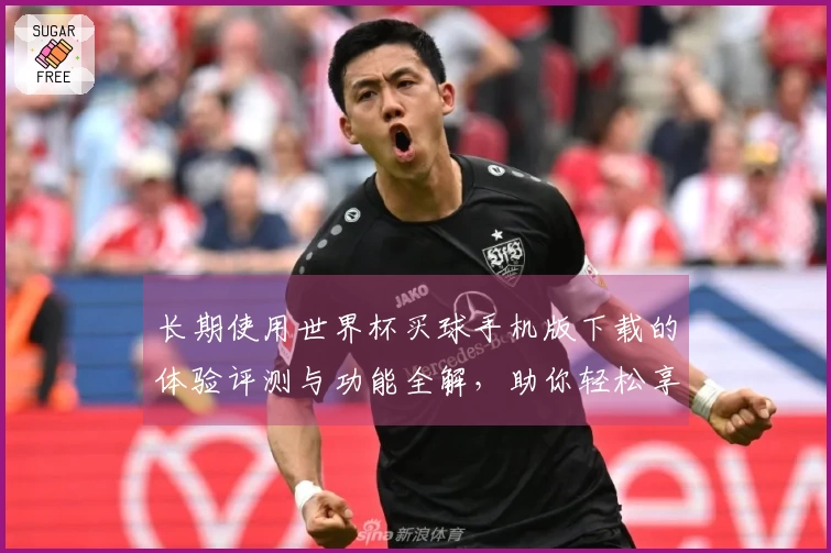 长期使用世界杯买球手机版下载的体验评测与功能全解，助你轻松享受体育直播