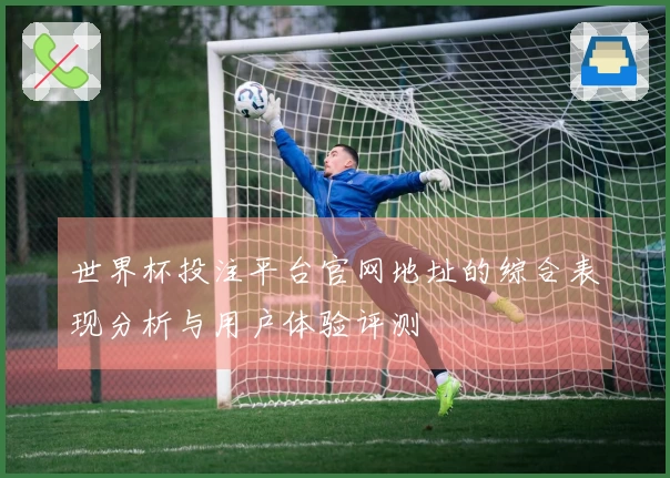 世界杯投注平台官网地址的综合表现分析与用户体验评测