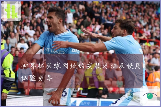世界杯买球网址的安装方法及使用体验分享