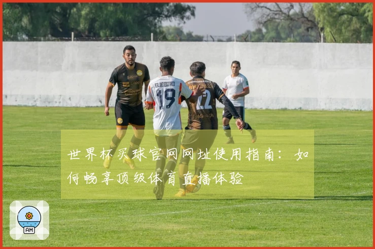世界杯买球官网网址使用指南：如何畅享顶级体育直播体验