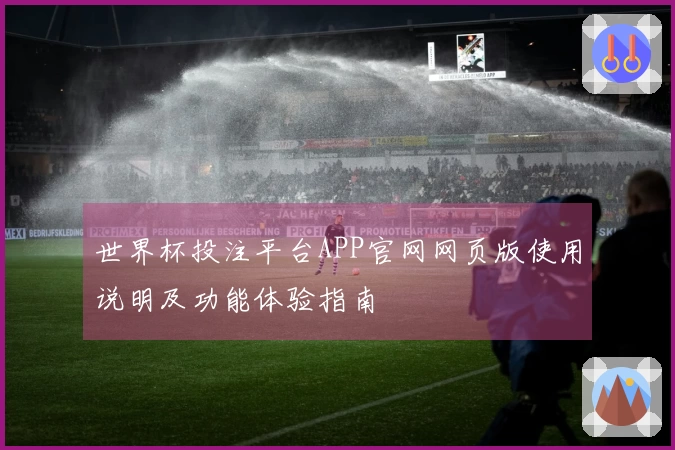 世界杯投注平台APP官网网页版使用说明及功能体验指南