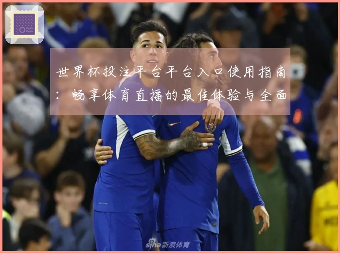 世界杯投注平台平台入口使用指南：畅享体育直播的最佳体验与全面功能介绍