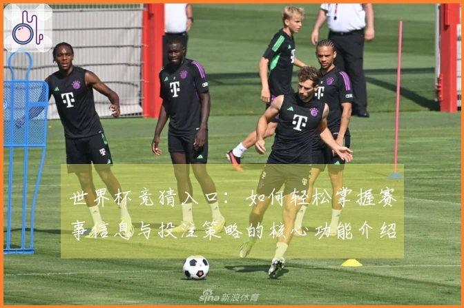 世界杯竞猜入口:如何轻松掌握赛事信息与投注策略的核心功能介绍