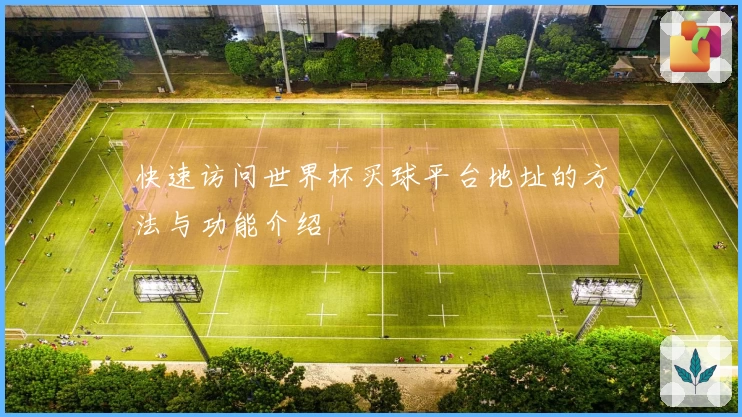 快速访问世界杯买球平台地址的方法与功能介绍