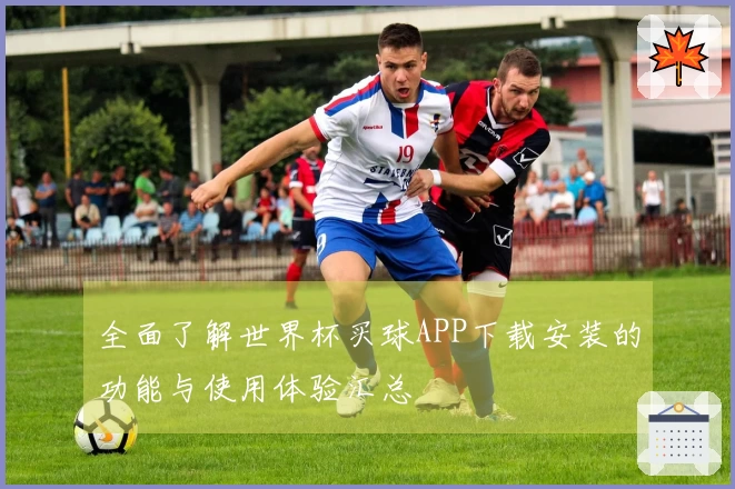 全面了解世界杯买球APP下载安装的功能与使用体验汇总