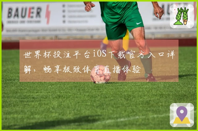 世界杯投注平台iOS下载官方入口详解，畅享极致体育直播体验